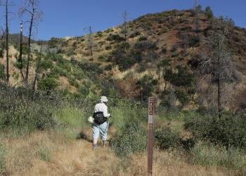 USDA Forest Service