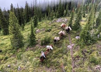 USDA Forest Service