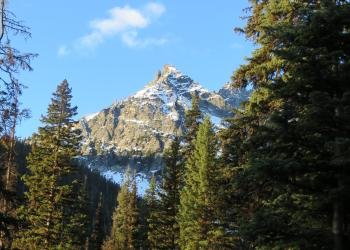 USDA Forest Service