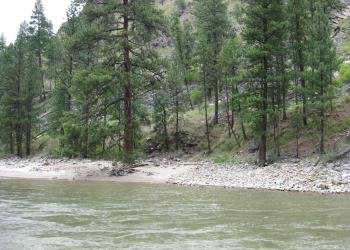 USDA Forest Service