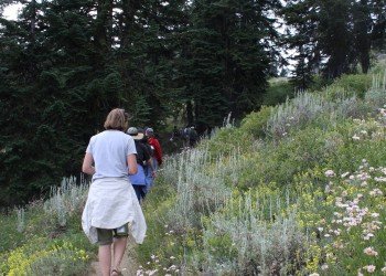 USDA Forest Service