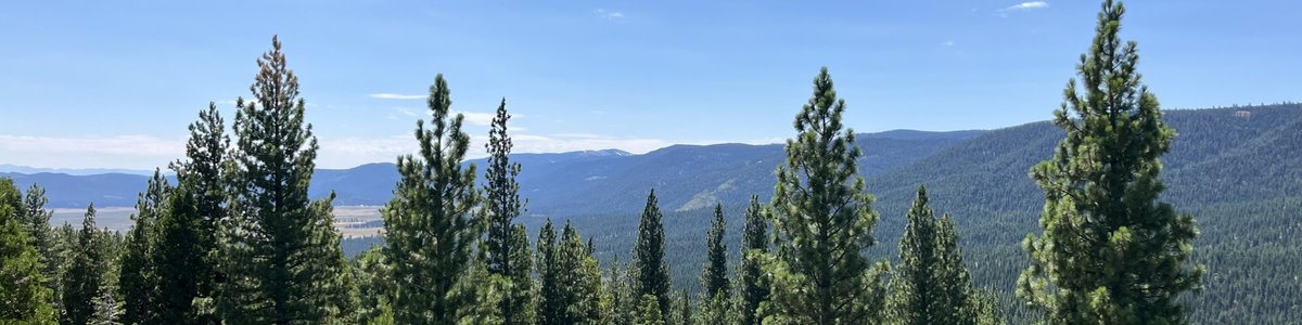 Jackson Creek Campground