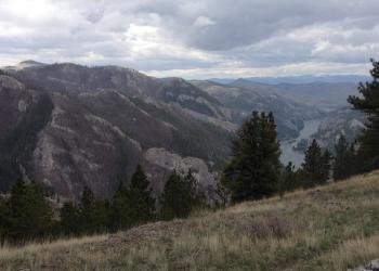 USDA Forest Service