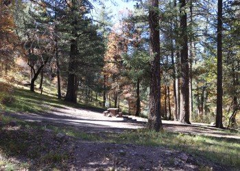 USDA Forest Service