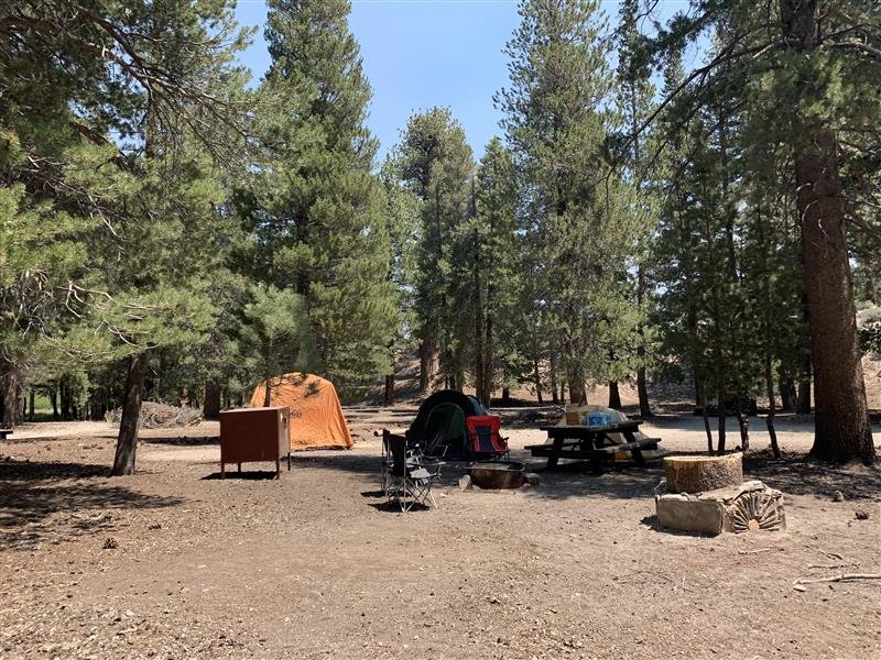 Smarts Mountain Campsite