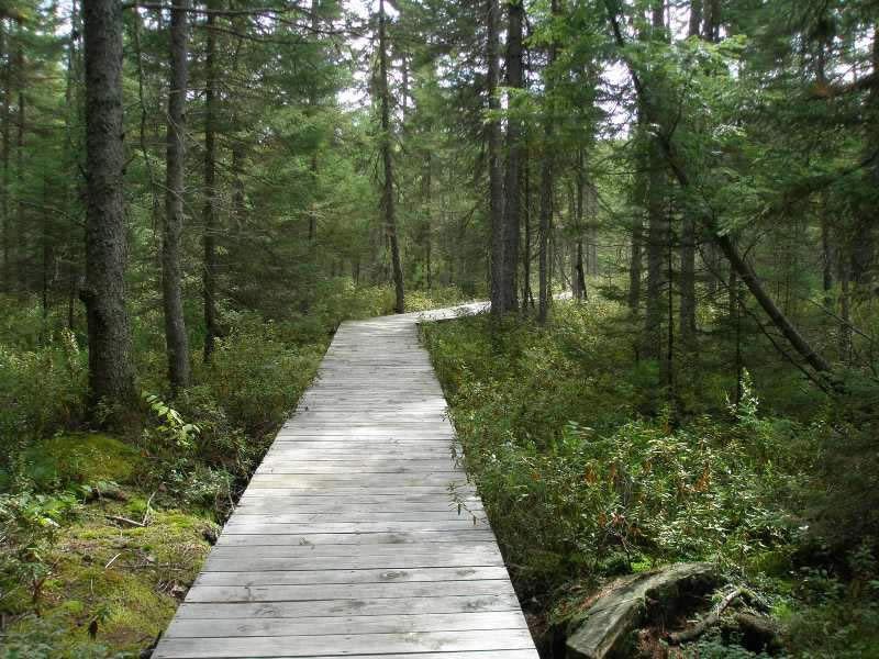 Weller Campground