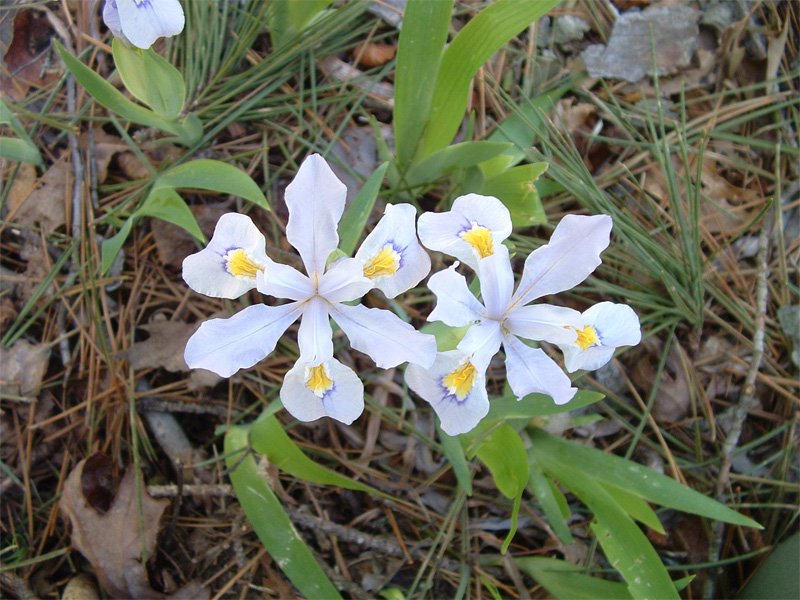 Jack Creek Recreation Area