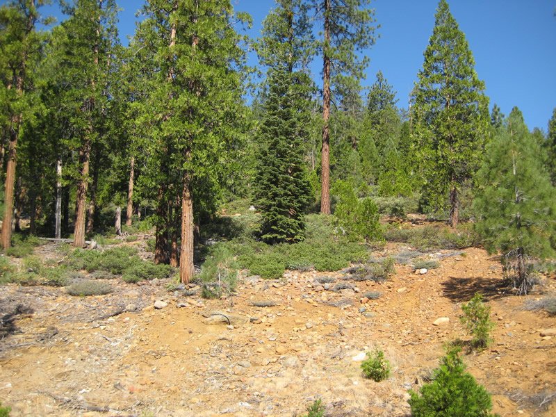 USDA Forest Service