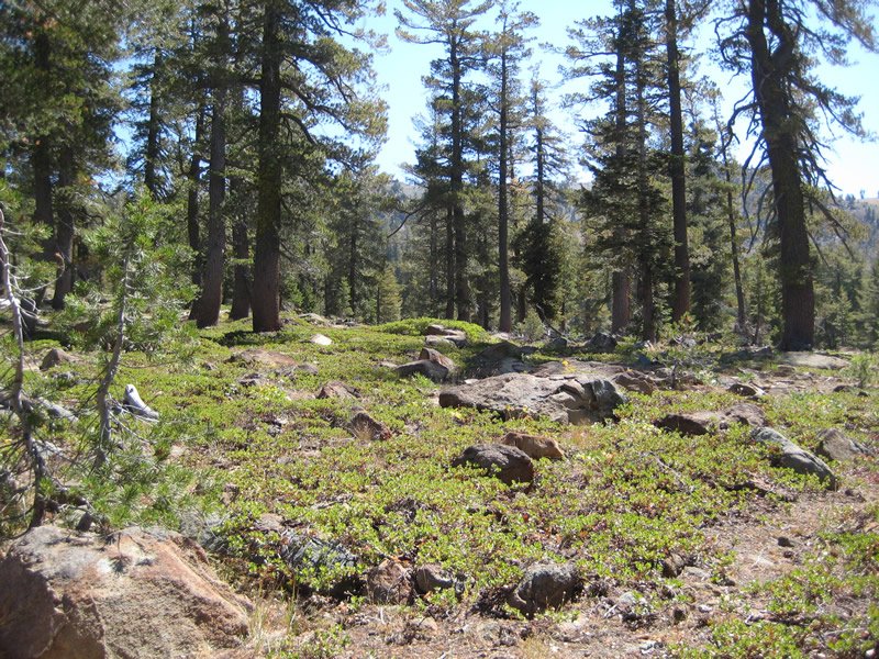 Hammerhorn Campground