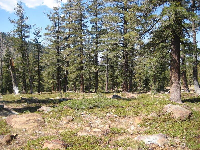 Kangaroo Lake Campground