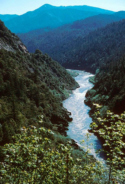 USDA Forest Service