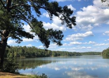 Brushy Lake Recreation Area