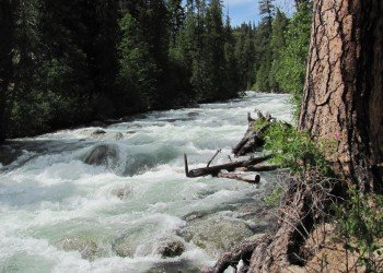 Falls Creek Campground