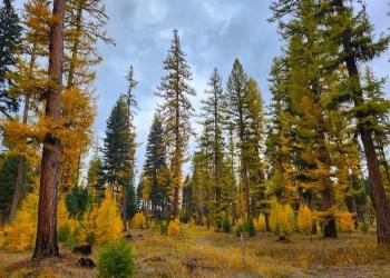 Seeley Lake Campground