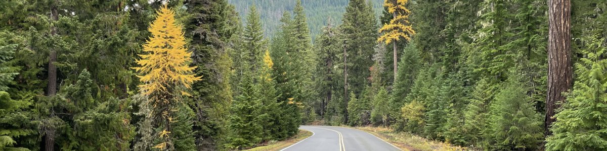 USDA Forest Service