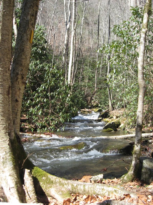 USDA Forest Service