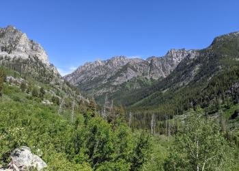USDA Forest Service