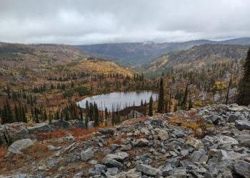 USDA Forest Service