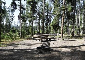 Lodgepole Campground