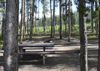 Lodgepole Campground