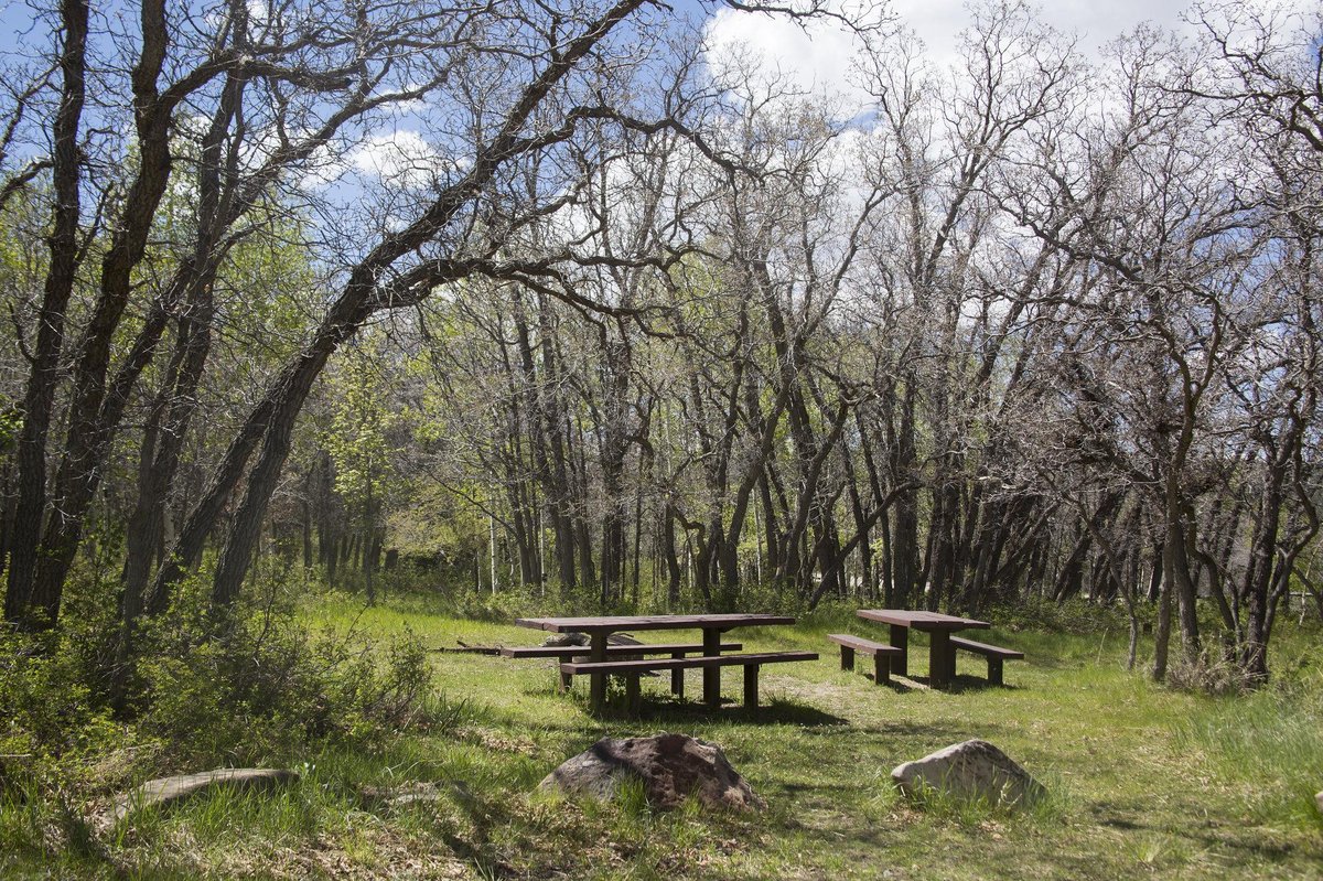 Riverside Campground (Idaho City)