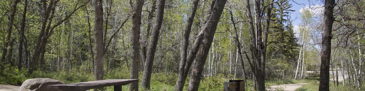 USDA Forest Service