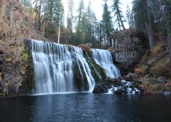 USDA Forest Service