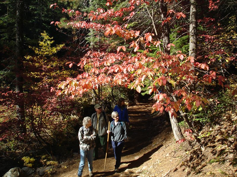 Bitterbrush Campground
