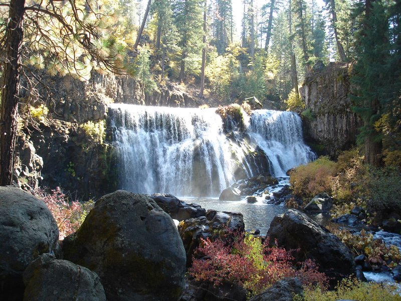 Bitterbrush Campground