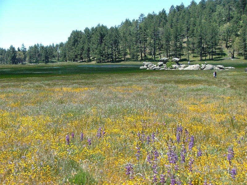 Ahdina Campground