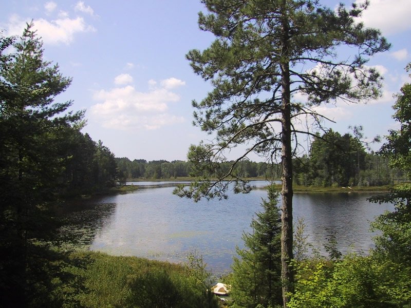 Pine Lake