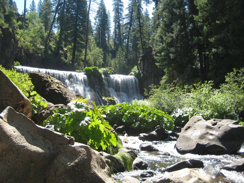 Middle Creek Campground