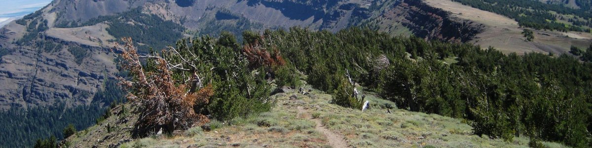 USDA Forest Service