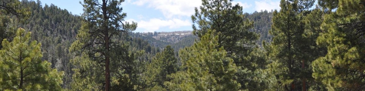 USDA Forest Service