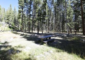 Mono Creek Campground