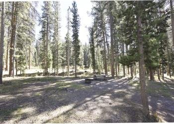 USDA Forest Service