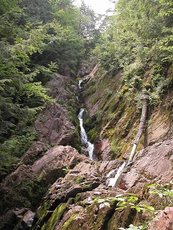 Wanoka Lake Recreation Area