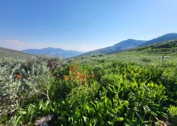 Five Points Campground