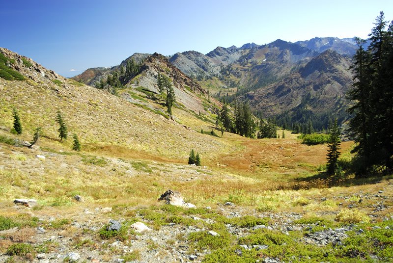 USDA Forest Service