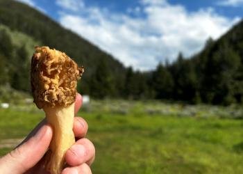 Crystal Creek Campground