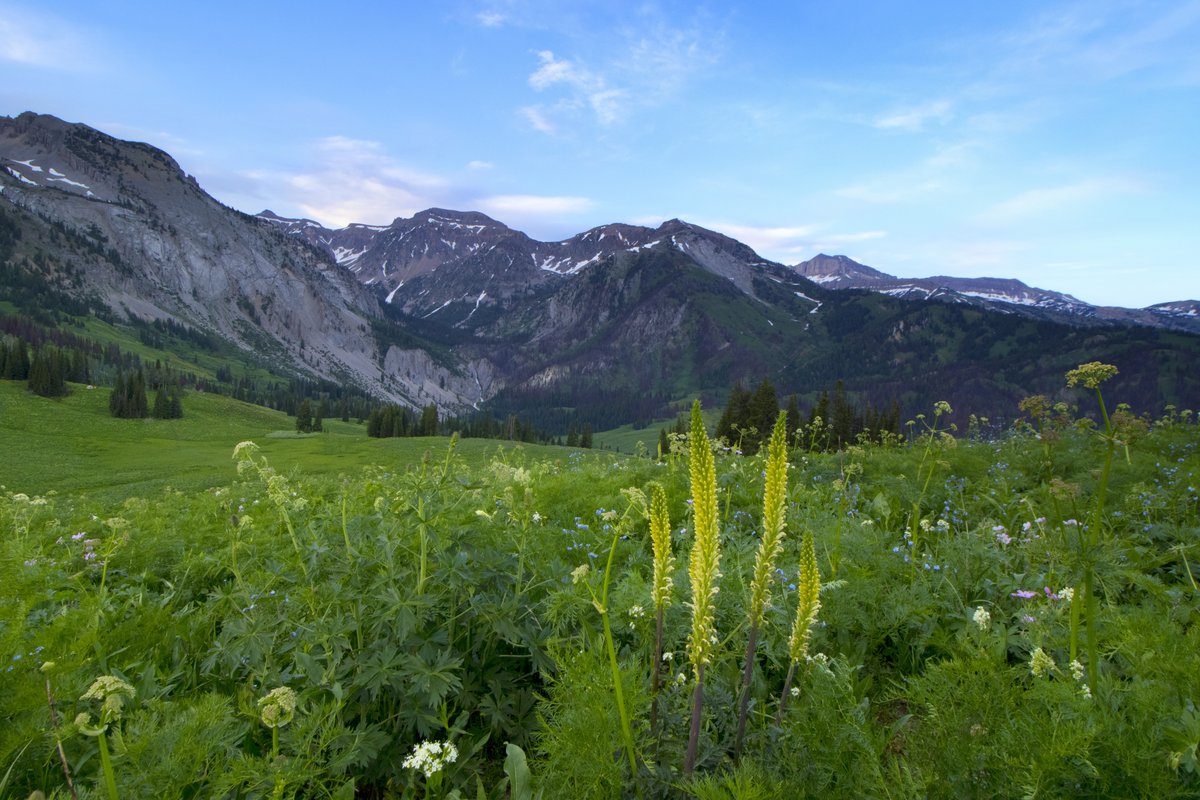 Crystal Creek Campground