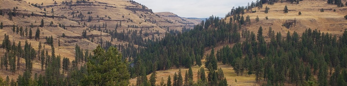 USDA Forest Service