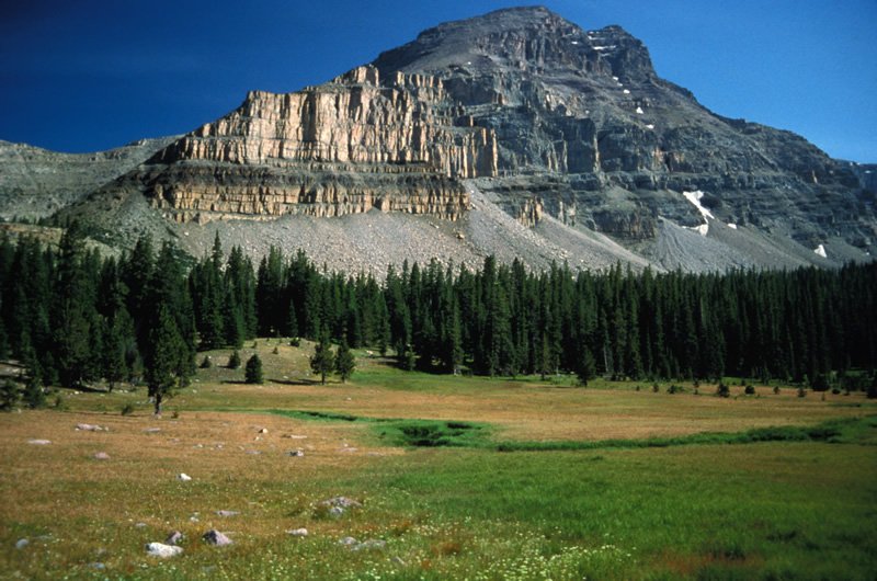 USDA Forest Service