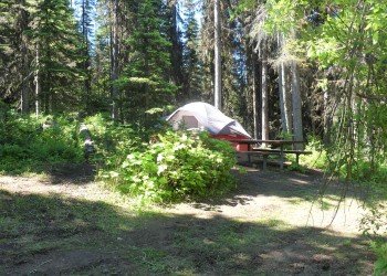 Trout Lake Campground