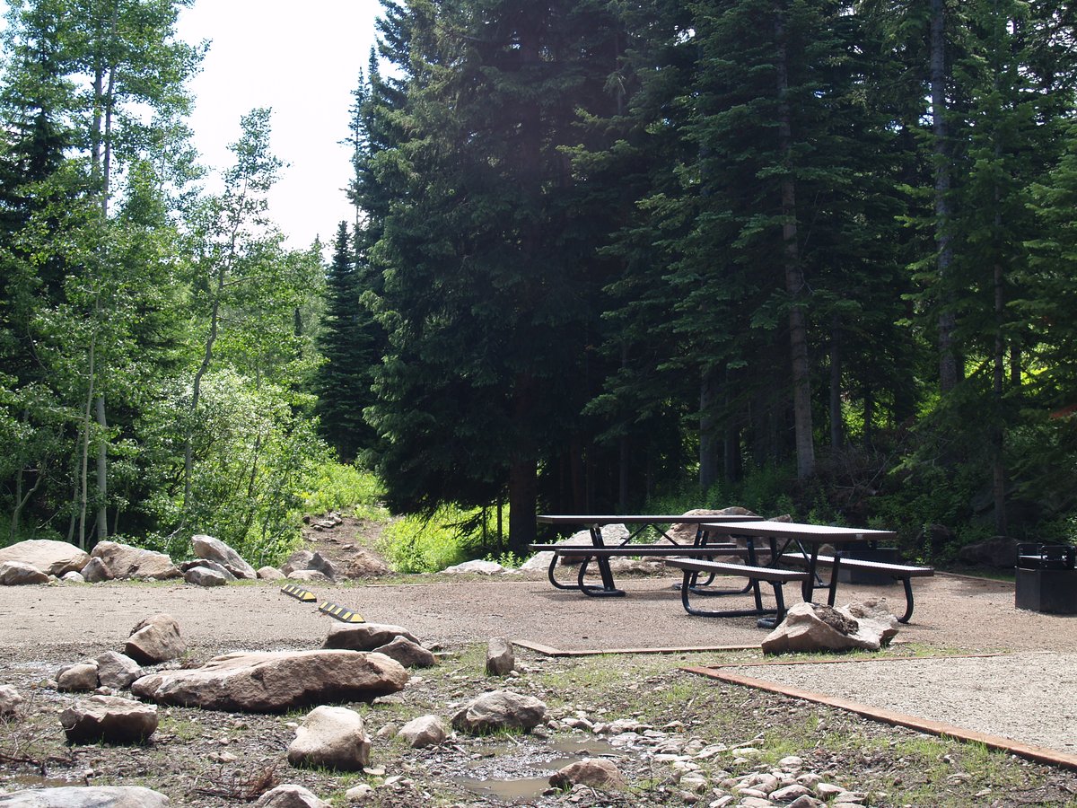 USDA Forest Service