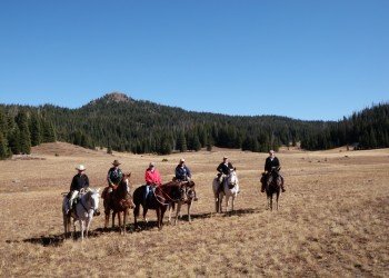 Himes Peak Campground