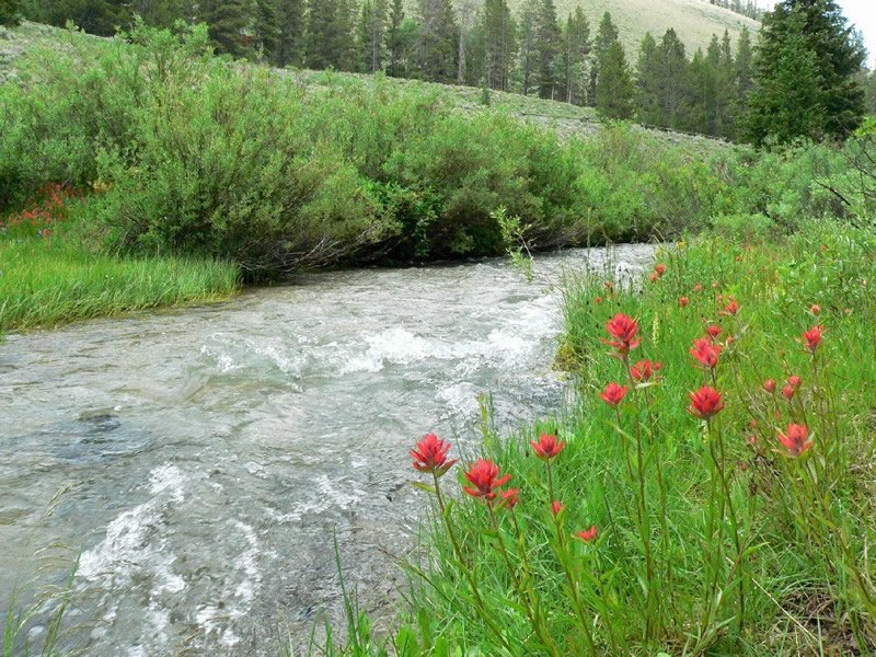 Sacajawea Campground