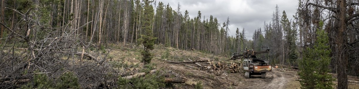 Seymour Creek Campground