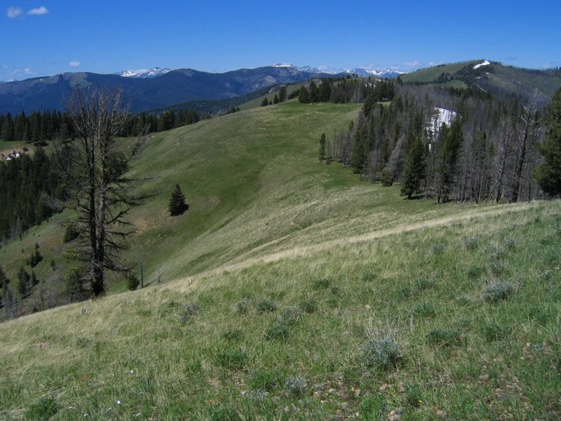 Martin Creek Campground