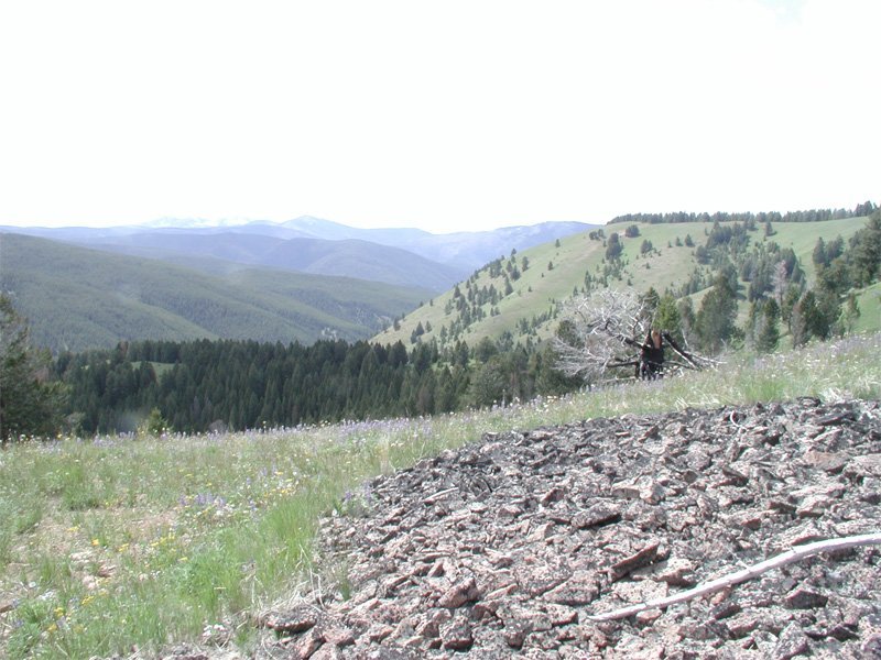 USDA Forest Service